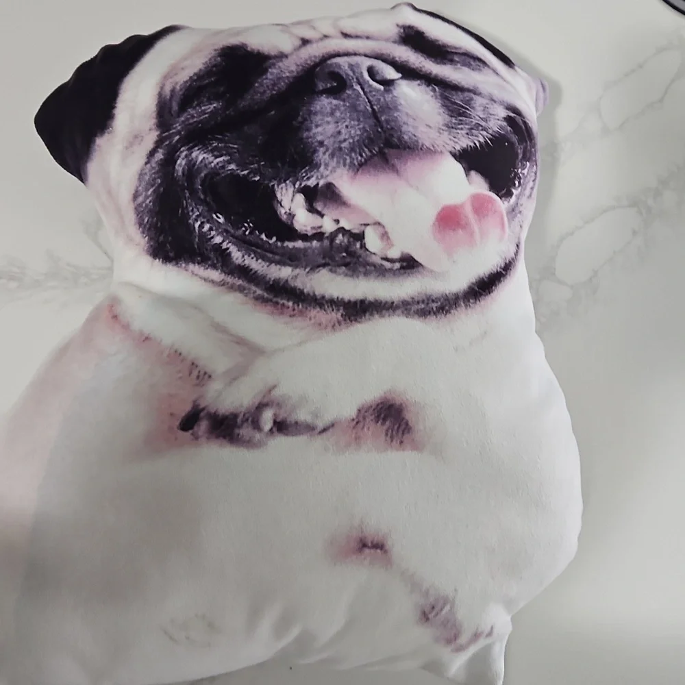 Decortive Pug Pillow